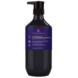 Theorie Purple Brightening Shampoo 400ml
